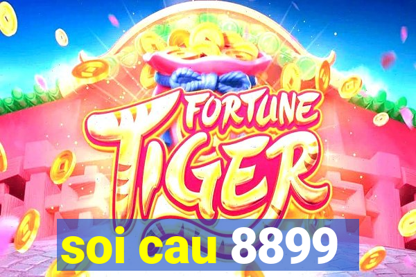 soi cau 8899