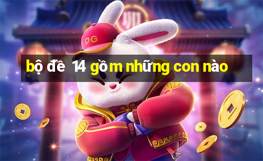 bộ đề 14 gồm những con nào