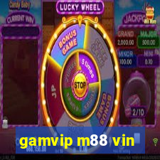 gamvip m88 vin