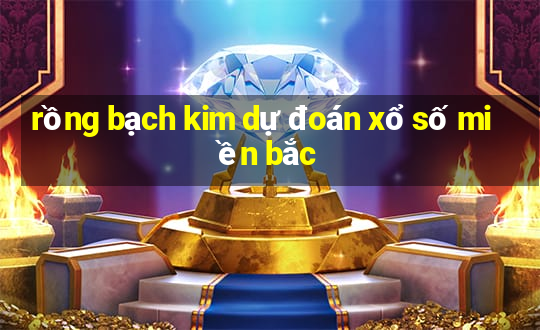 rồng bạch kim dự đoán xổ số miền bắc