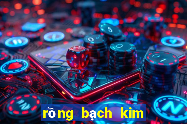 rồng bạch kim dự đoán xổ số miền bắc