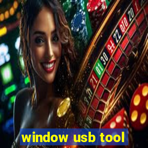 window usb tool