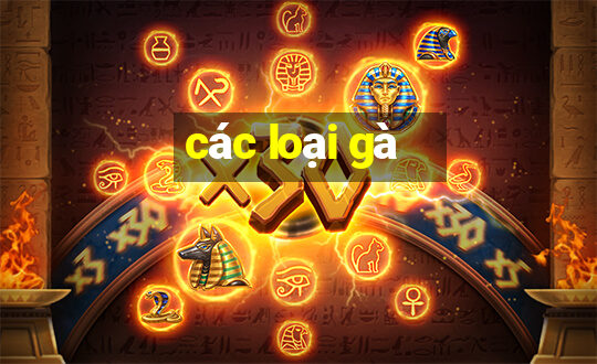 các loại gà