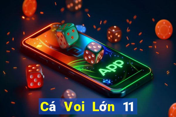 Cá Voi Lớn 11 Chọn Năm