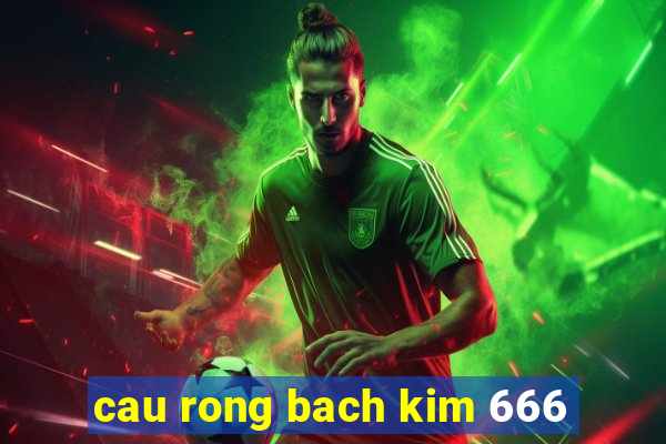 cau rong bach kim 666