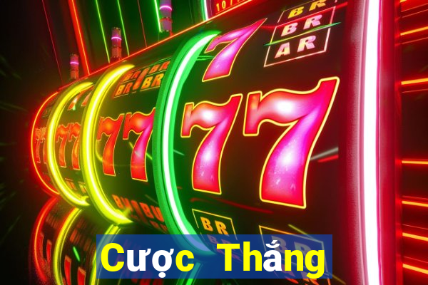 Cược Thắng Game Bài