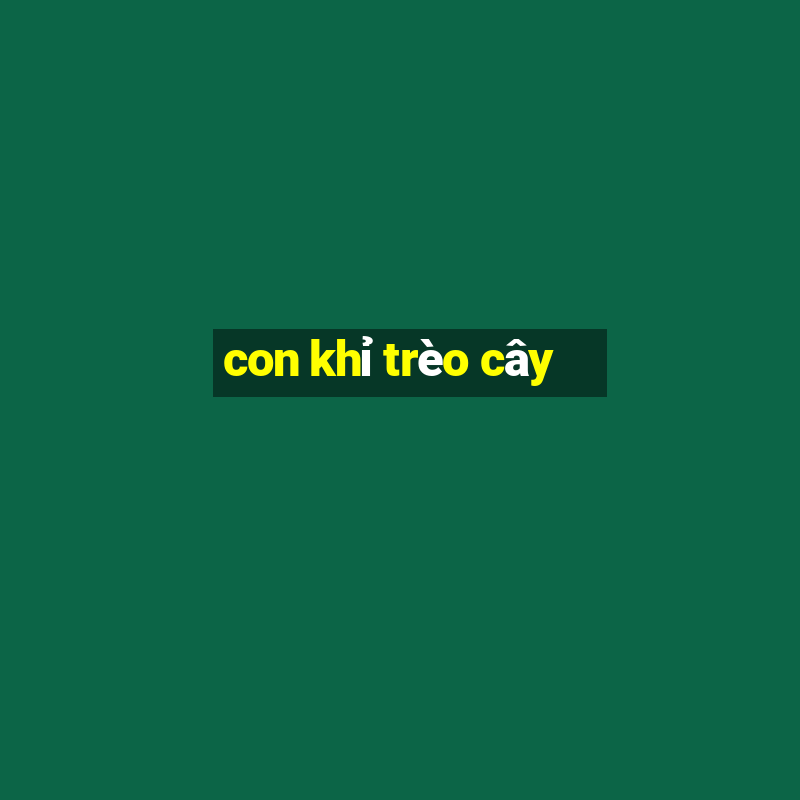 con khỉ trèo cây