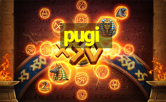 pugi