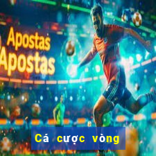 Cá cược vòng bảng Cúp C1 Châu Âu