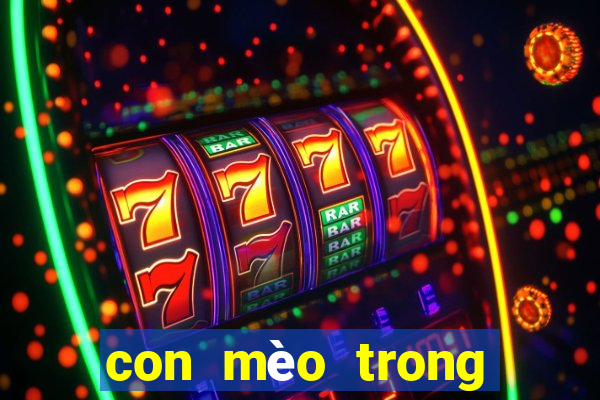 con mèo trong số đề là bao nhiêu