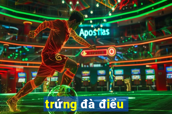 trứng đà điểu