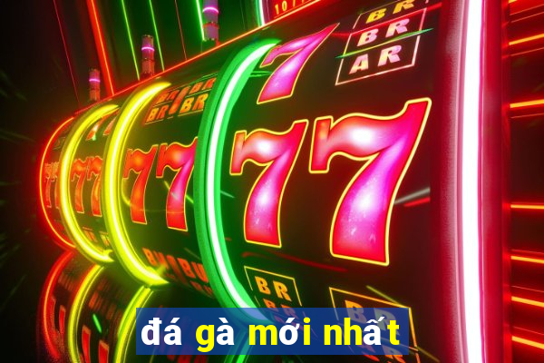 đá gà mới nhất