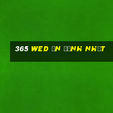 365 wed ổn định nhất