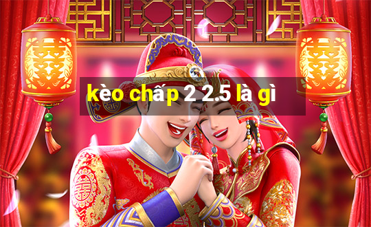 kèo chấp 2 2.5 là gì