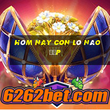 hôm nay con lô nào đẹp