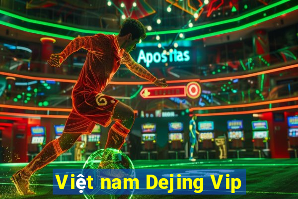 Việt nam Dejing Vip