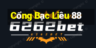 Cổng Bạc Liêu 88