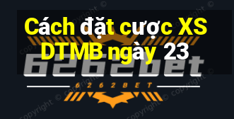 Cách đặt cược XSDTMB ngày 23