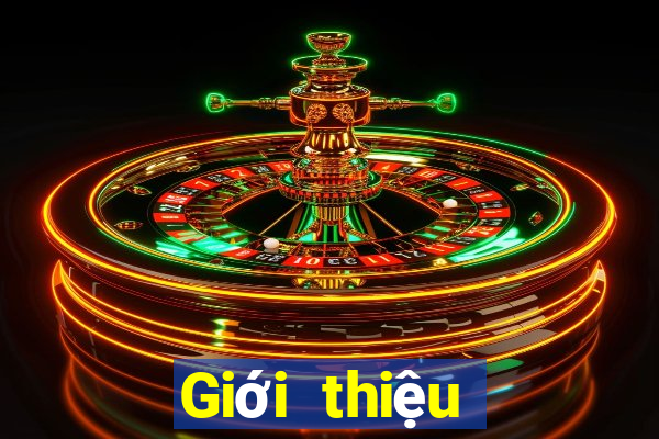 Giới thiệu phần mềm xổ số 916