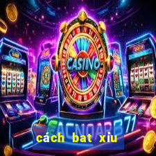 cách bat xỉu chủ miền bắc