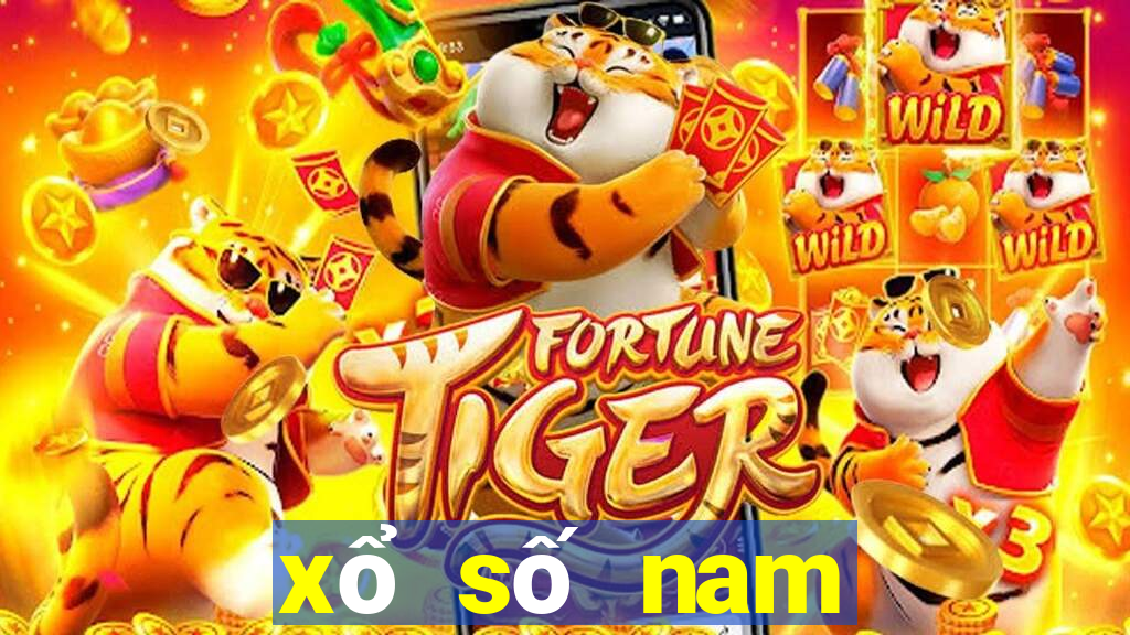 xổ số nam định mùng 2 tết