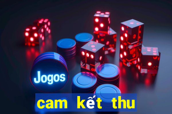 cam kết thu nhập cá nhân