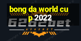 bong da world cup 2022