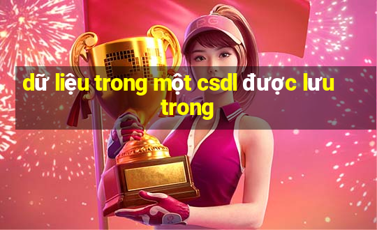 dữ liệu trong một csdl được lưu trong