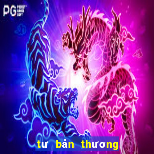 tư bản thương nghiệp là