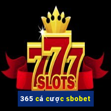 365 cá cược sbobet