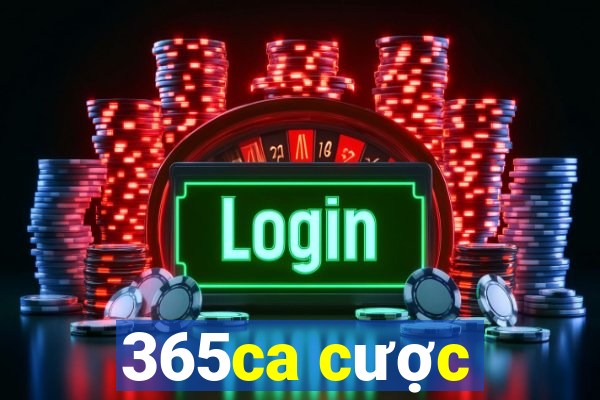 365ca cược