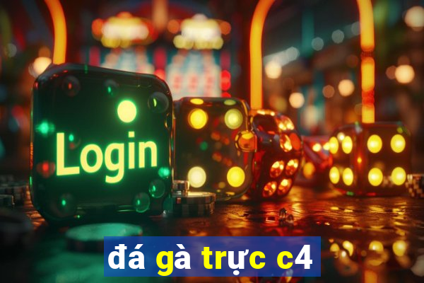 đá gà trực c4