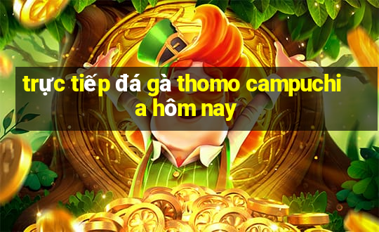 trực tiếp đá gà thomo campuchia hôm nay