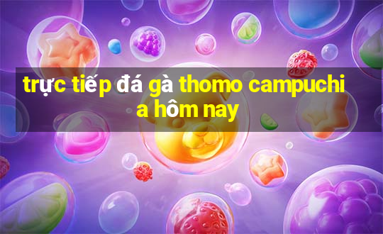 trực tiếp đá gà thomo campuchia hôm nay