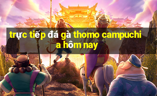 trực tiếp đá gà thomo campuchia hôm nay