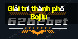 Giải trí thành phố Bojiu