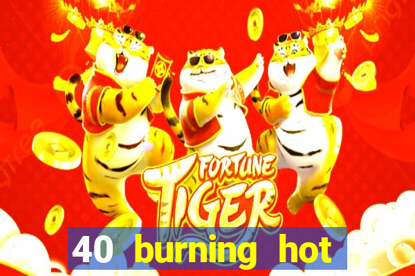 40 burning hot slot game