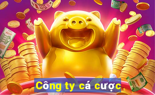 Công ty cá cược