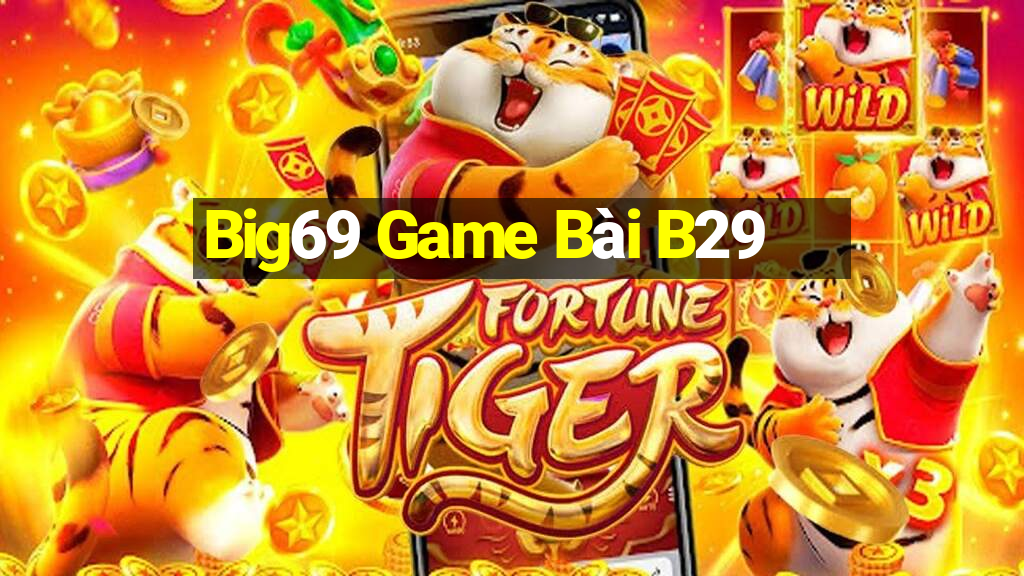 Big69 Game Bài B29