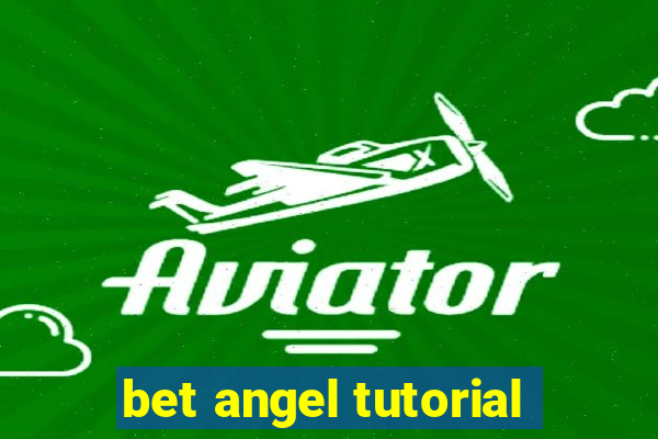 bet angel tutorial