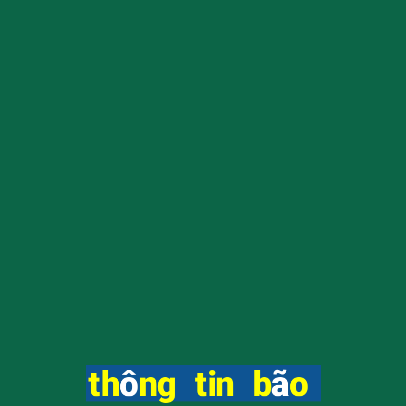 thông tin bão hôm nay