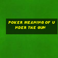 poker meaning of under the gun