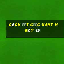 Cách đặt cược XSNT ngày 19