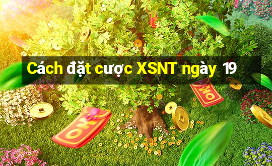 Cách đặt cược XSNT ngày 19