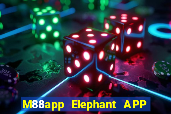 M88app Elephant APP Phiên bản mới Tải về