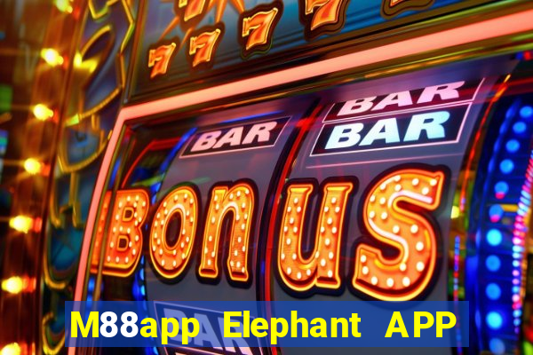 M88app Elephant APP Phiên bản mới Tải về