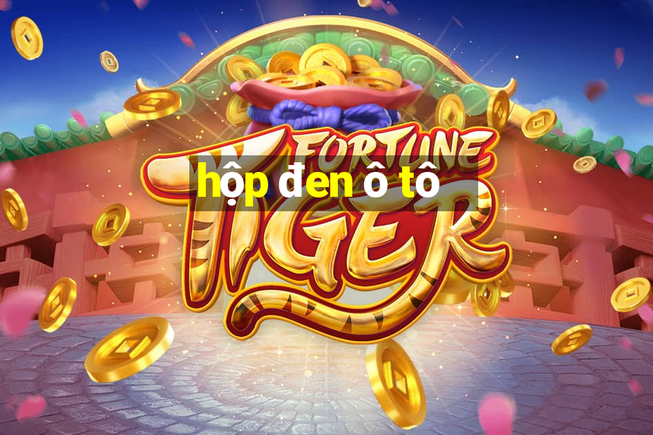 hộp đen ô tô