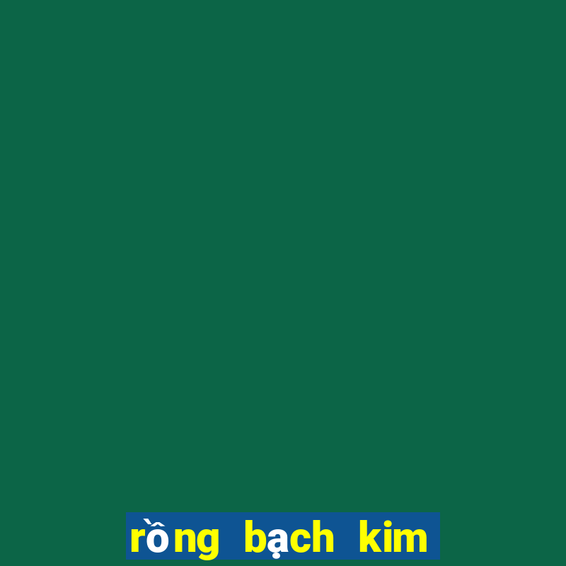 rồng bạch kim chính xác 100