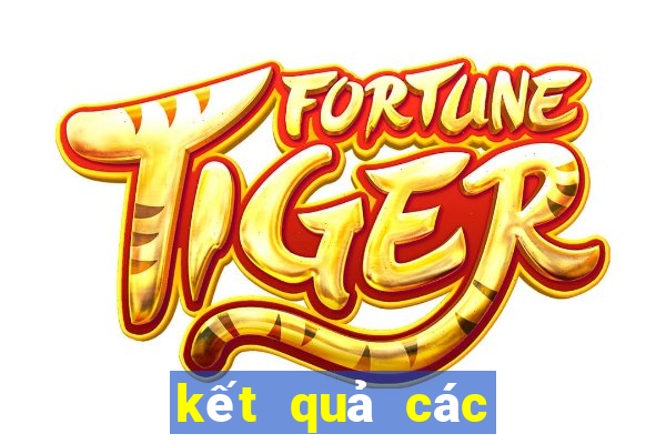 kết quả các trận đấu world cup