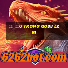 đề đầu trong go88 là gì